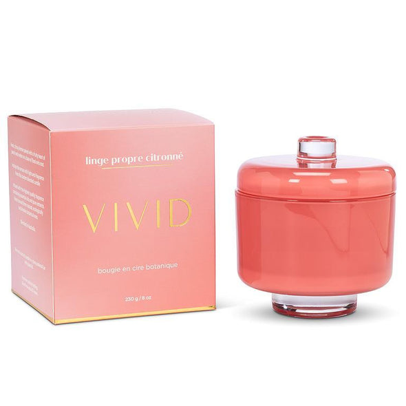 Bougie aux agrumes dans un pot sur pied