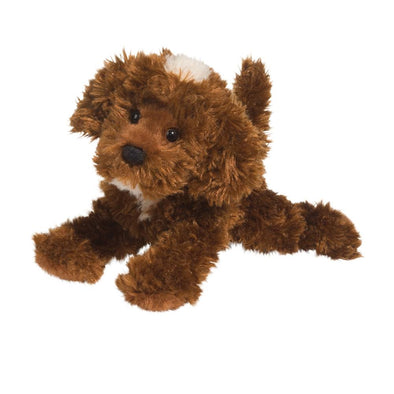 Douglas - Labradoodle chocolat Bosco