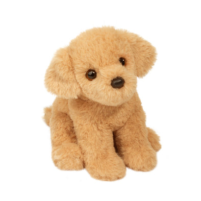 Douglas - Golden Retriever