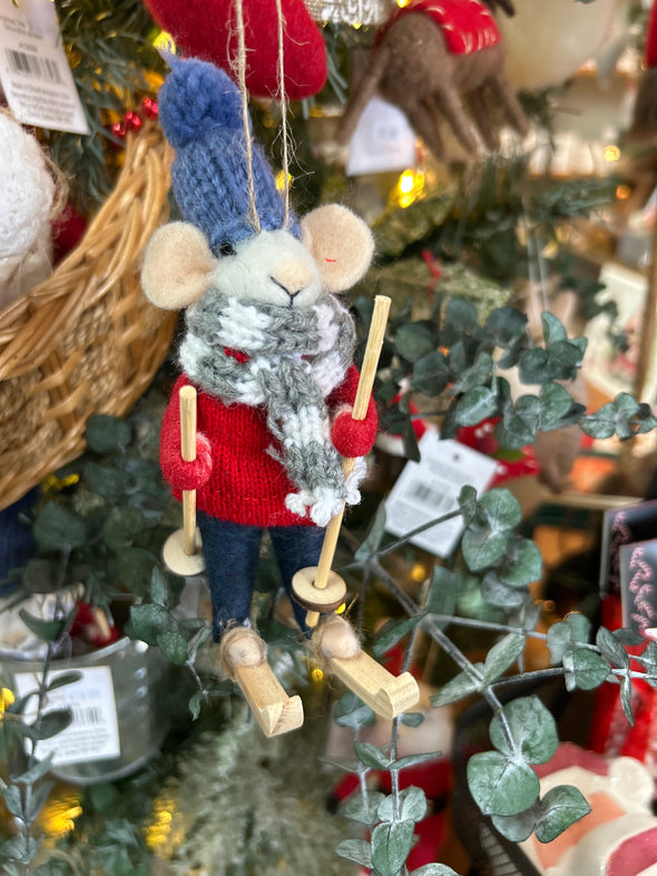 Souris en ski alpin