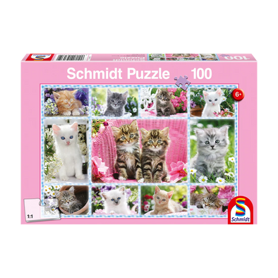 CASSE-TÊTES - CHATONS