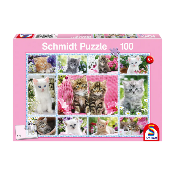 CASSE-TÊTES - CHATONS