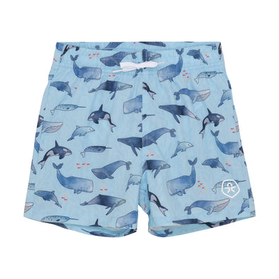 Color Kids - Maillot Baleine