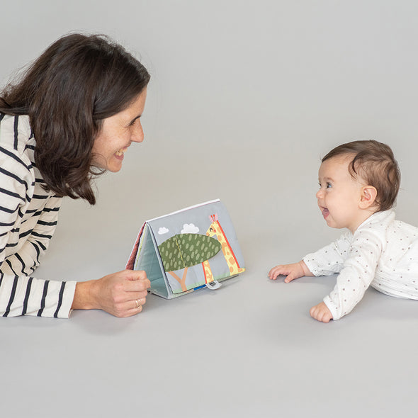 Taf Toys - Tableau «Snap'n Learn» (Copie)