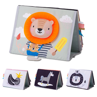 Taf Toys - Tableau «Snap'n Learn» (Copie)