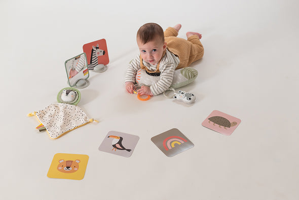 Taf Toys - Ensemble de départ 12 pièces