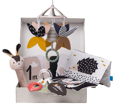 Taf Toys - Ensemble de départ noir et blanc 10 pièces