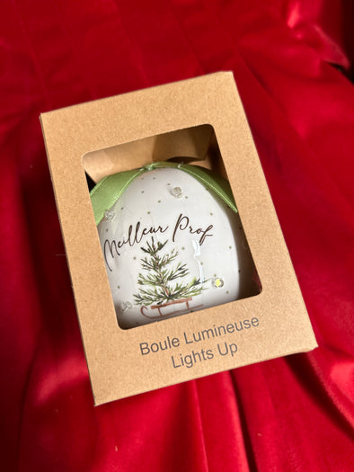 Ornement boule illum. meilleur prof