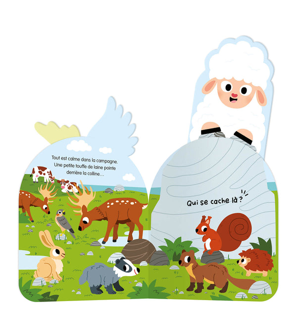 Auzou - À qui sont ces queues d'animaux ?