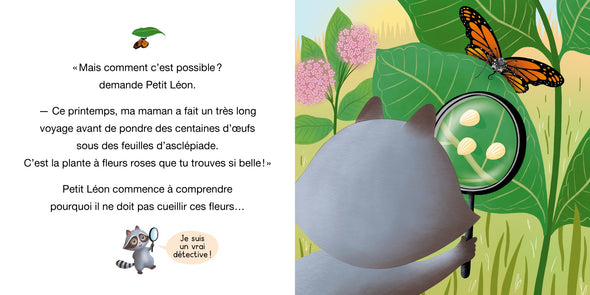 Auzou - Petit léon et le papillon monarque