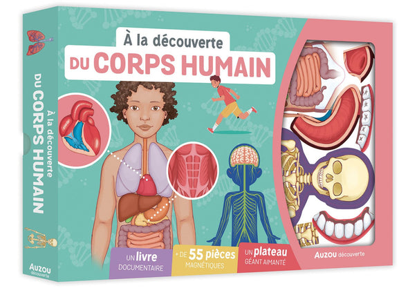 Auzou  - À la découverte du corps humain