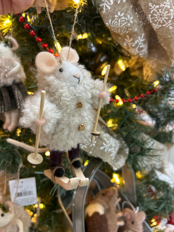 Souris en ski de fond