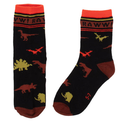 Nano - Chaussettes Garçons Dino