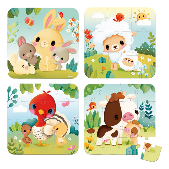 JANOD - Casse-tête - TÊTES ÉVOLUTIFS