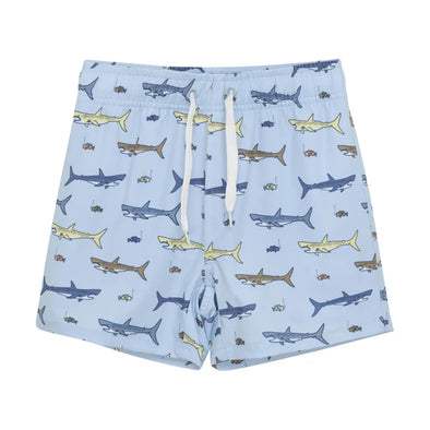 Color kids - short bleu requins