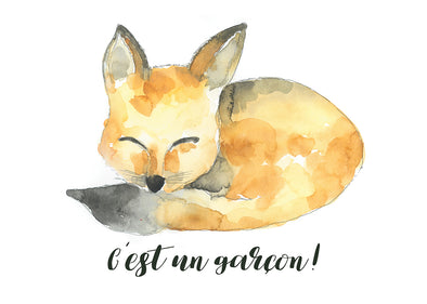 Stéphanie Renière illustration Renaud 4
